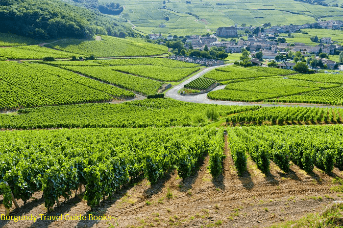 Burgundy Travel Guide Books