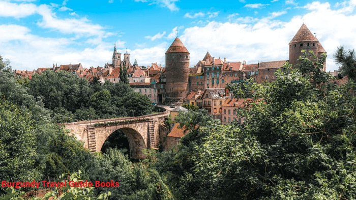 Burgundy Travel Guide Books