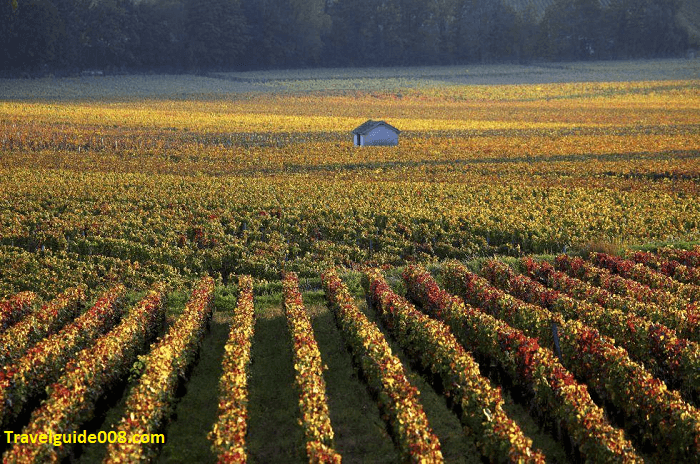 Burgundy France Travel Guide